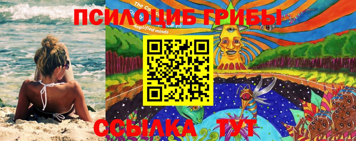 Псилоцибиновые грибы мухоморы Камышлов