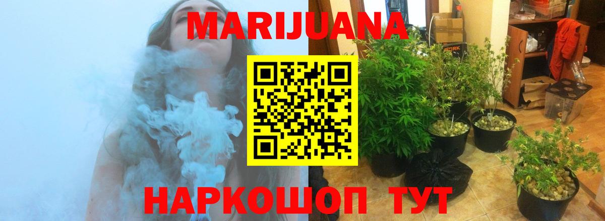 Конопля марихуана  Вход с VPN  Каннабис White Widow  Шишки марихуана планчик  Камышлов 